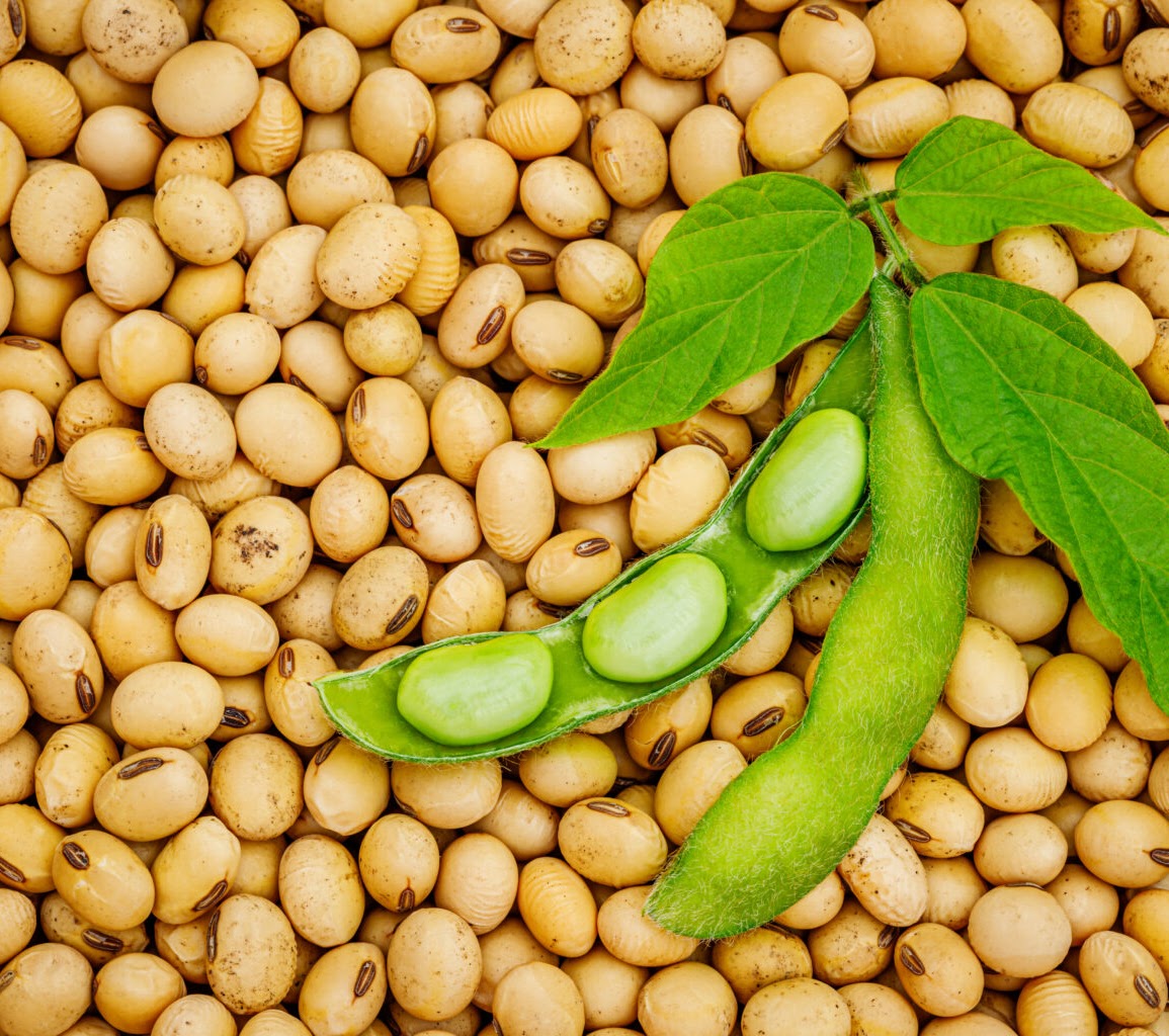 VDEMA legacy gallery image 1