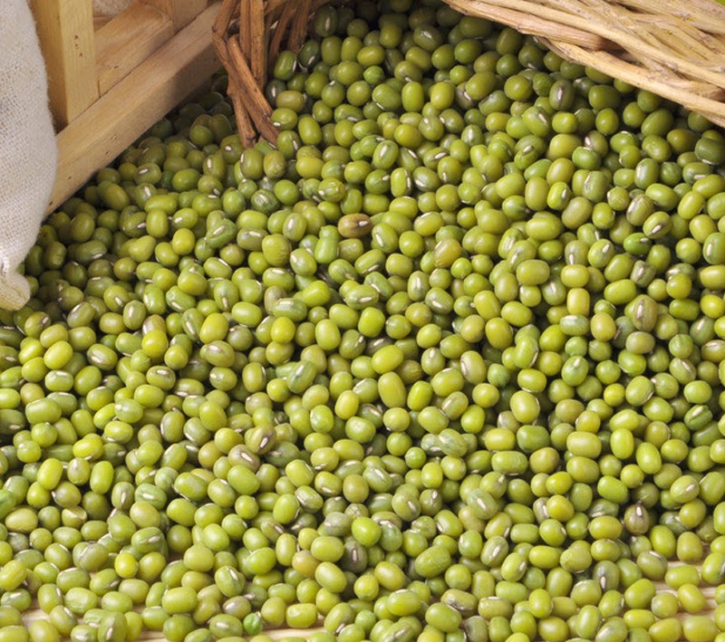 VDEMA legacy gallery image 9