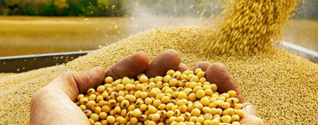 VDEMA legacy gallery image 11