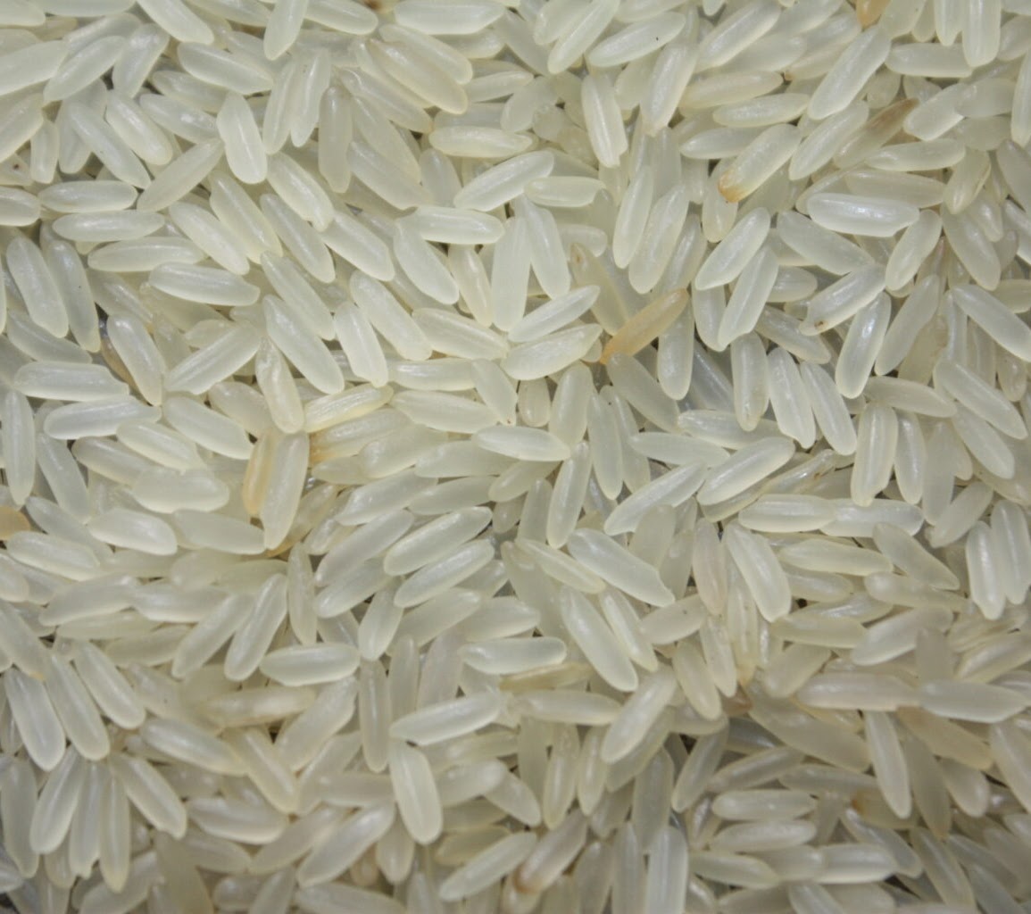 VDEMA legacy gallery image 7